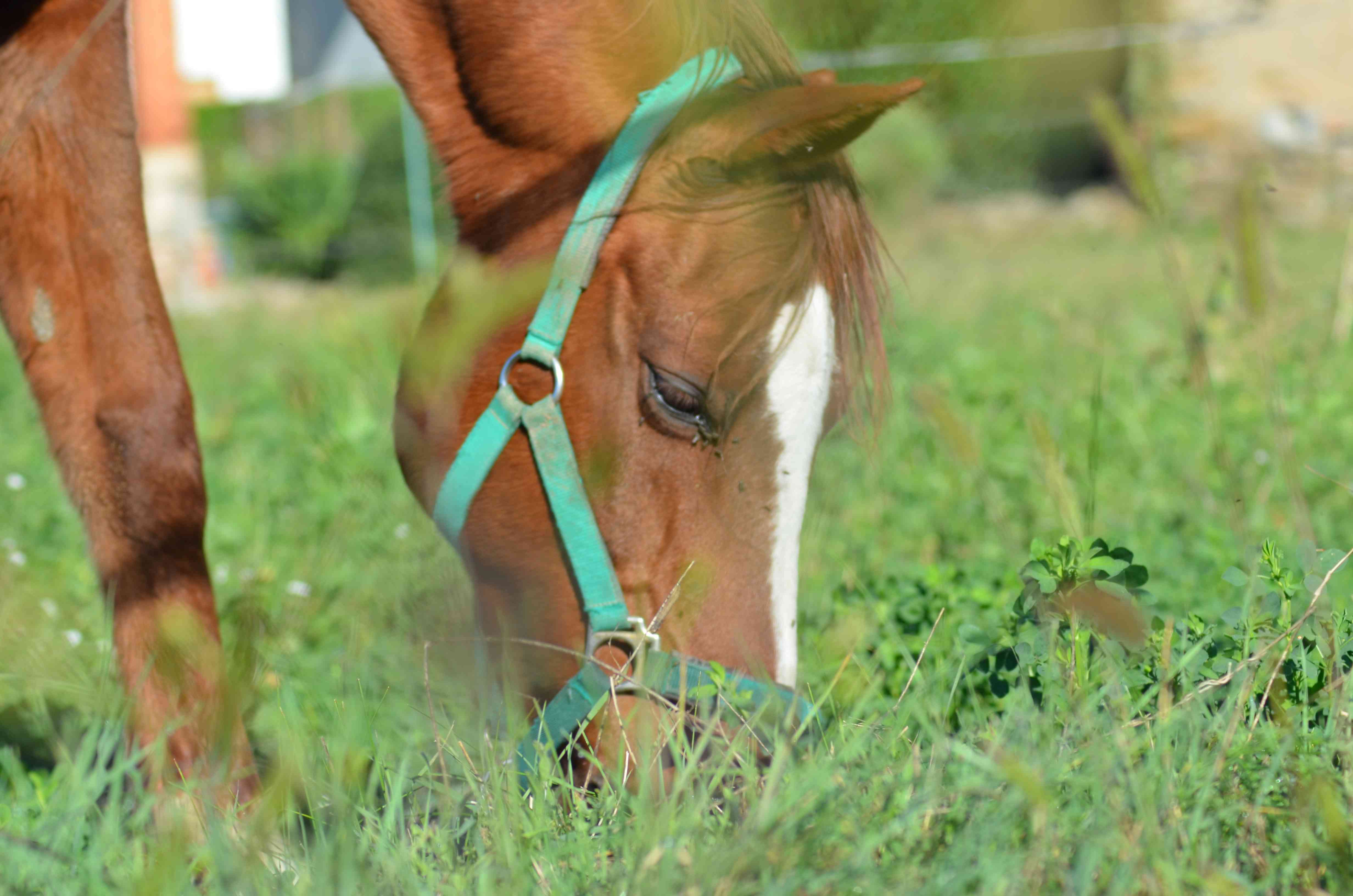 No s'ha trobat l'arxiu